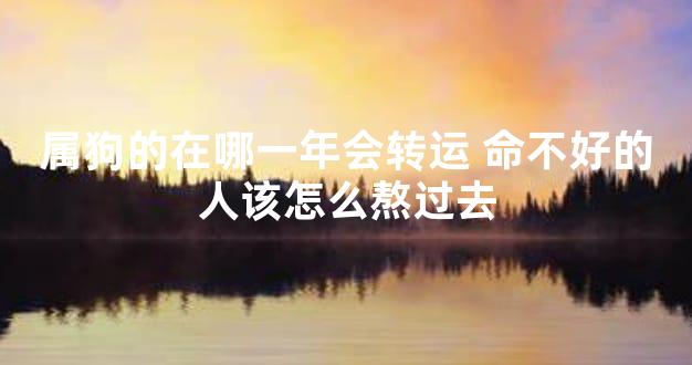 属狗的在哪一年会转运 命不好的人该怎么熬过去